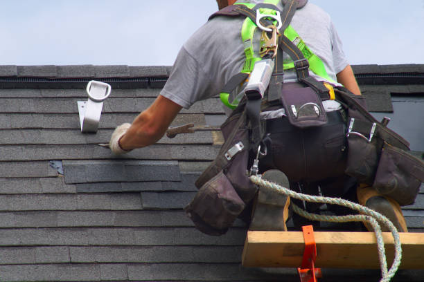 Best Residential Vinyl Siding Installation  in Mayville, WI