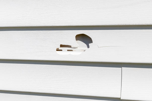 Best Storm Damage Siding Repair  in Mayville, WI