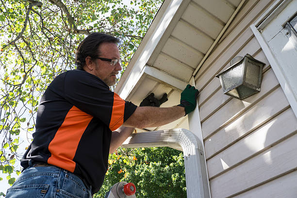 Best Custom Siding Design  in Mayville, WI
